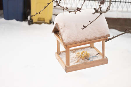 Bird feeder in the winter snowy forest. Human care of birds, problem of survival of birds concept. High quality photoの写真素材