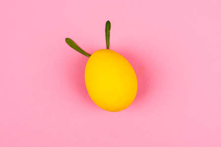 Directly above of yellow easter egg against pink background. Easter bunny made from egg and green...