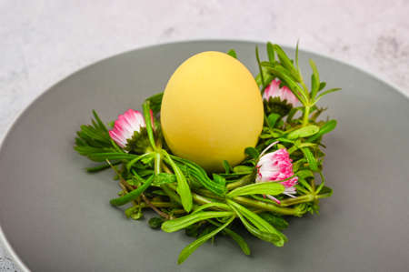 Easter egg in festive flower nest on a gray plate. ... High quality photoの写真素材