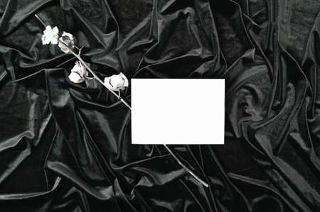 Black and white template with white card mockup and a dried cotton branch on wavy fabric background....