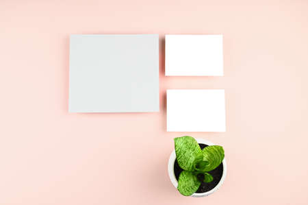 Empty cards and green plant in white pot on table. Mock up poster frame. Stylish template. High...