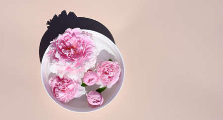 Pink flowers and buds floating on water surface in a bowl. Summer background with peonies and shadows.の写真素材