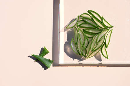 Aloe Vera leaves on glass podium, pastel background with copy space.の写真素材
