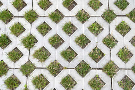 Geometric gray concrete tile with eco-parking cells wth a hole for grass. Top view, paving stones for grass.の写真素材