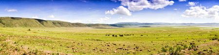 Down Panoramic View of Crater Ngorongoroの写真素材