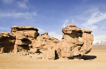 Windmade Rock look like a Tortoise. Turtle Rock on the Rocks Valley in Altiplano Bolivia Andesの写真素材