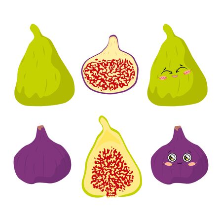 Vector illustration of figs of different color whole and half on a white background in a flat style. Bright set for designのイラスト素材