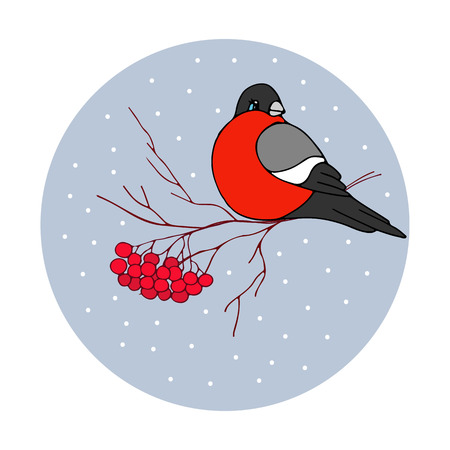 Christmas vector illustration - bullfinch with ashberries with holidays greetingのイラスト素材