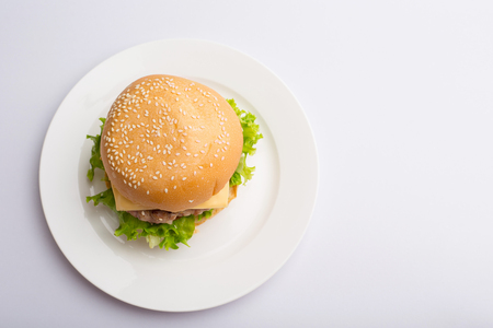 Delicious homemade hamburger - on white backgroundの写真素材