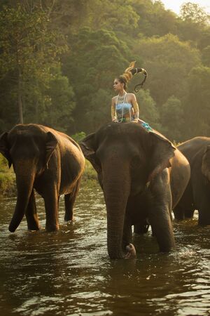 Thai Woman In Traditional Costume Of Thailand and elephantの写真素材