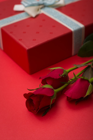 Red rose on red background - Valentine day or Wedding conceptの写真素材