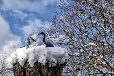 Two white storks in the nest. On a winter day, a family of storks in their nest.の写真素材