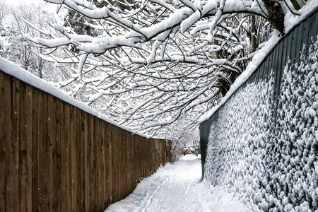 Snow street with fences on the sides. Snow lies on the trees.の写真素材