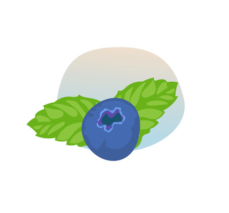 Vector blueberry and mint icon. flat cartoon illustrationのイラスト素材
