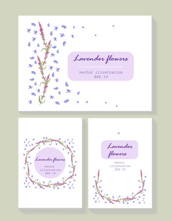 Lavender background card template collection. Vector cardのイラスト素材