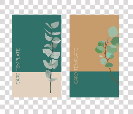 Set vector watercolor templates of eucalyptus branchのイラスト素材