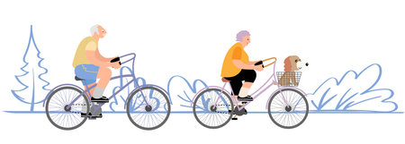 Seniors couple riding their bicycle. Active outdoor life style for elderly people. Grandfather and grandmother riding a bicycle. Summer activity. Vector illustration in cartoon styleのイラスト素材