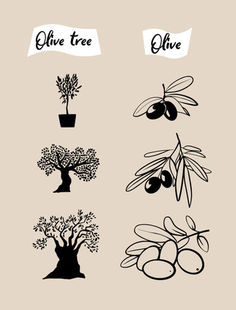 Set of olive branches and olive trees. hand drawn illustrationsのイラスト素材