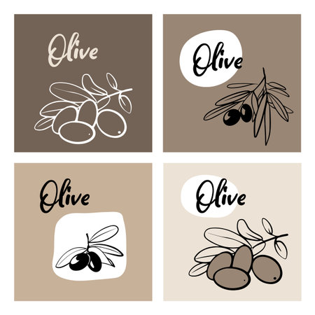 Set logo card. Olive branch vector business templateのイラスト素材