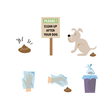 Dog poo clean up steps infographic set. Vector poster about hygiene animal, toilet cleaning information after your dog.のイラスト素材