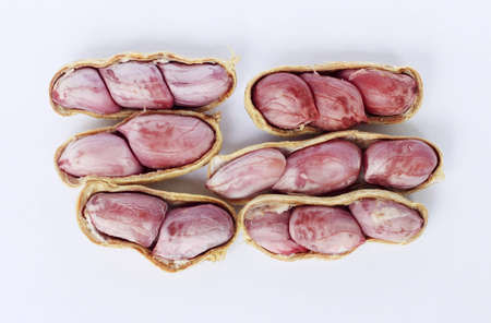 boiled nut and peanuts on white backgroundの写真素材