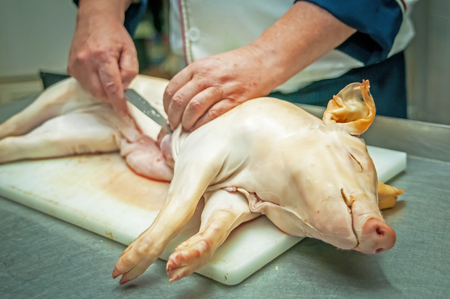 the butchering of a whole suckling pigの写真素材