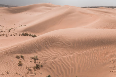 Beautiful untouched sand dunes in Inner Mongolia, Chinaの写真素材