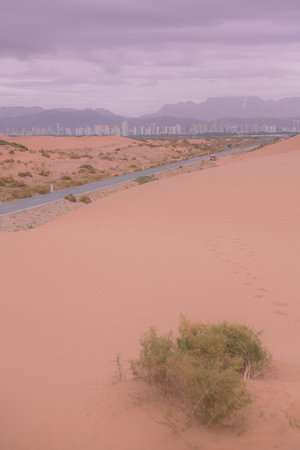 The small desert tree at the foreground, highway and the city of Wuhai, China