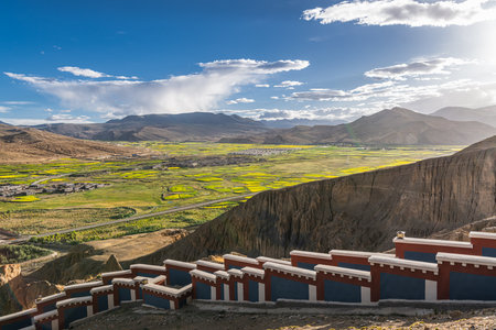 Sakya village, canola blossoms in Sakya village, Tibet, sunset skyの写真素材