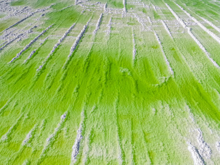 Background aerial drone picture of Qarhan lake in Golmud, Qinghaiの写真素材