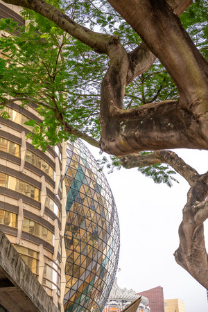Abstract architecture of the Grand Lisboa casino in Macao.