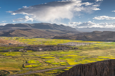 Canola blossoming fields and the sunset sky around village in Sakyaの写真素材