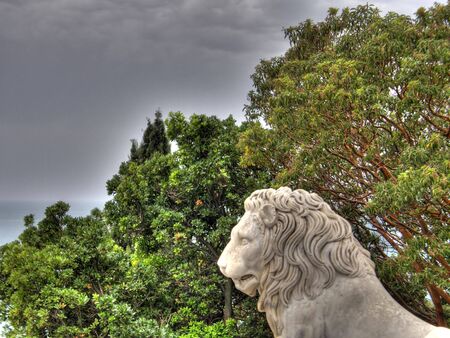 Ancient park. Crimea. Ukraine.の写真素材