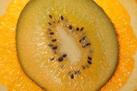 Orange. Tropical fruitの写真素材