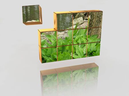 The television image. 3d