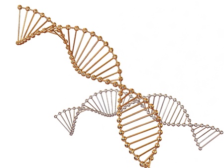 gene in DNA. 3d の写真素材