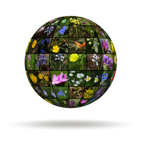 Planet flowers. 3dの写真素材