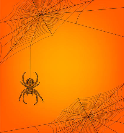 Halloween background with spider webs and spider and place for textのイラスト素材