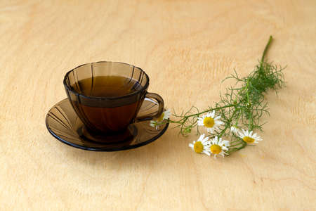 cup of tea with flowers.dark glass cup of Herbal tea with chamomile tea on a light wooden table with copy space. cup fo tea with bouquet fresh flowers and green leaves on yellow backgroundの写真素材