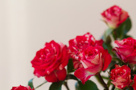 bouquet of pink roses on the light background. copyspace. Beautiful blooming flowersの写真素材