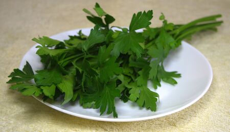 Parsley. Fresh, green, aromatic. For cooking different dishes. Vegetables and herbs Food Spicesの写真素材