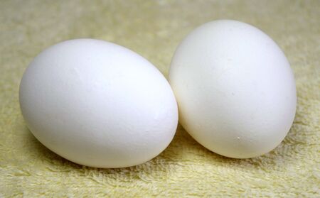 Chicken or duck egg  white. For cooking. One, two.の写真素材