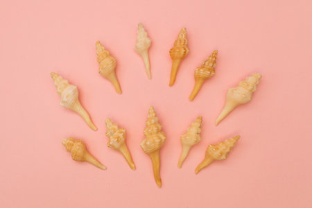 Shells scattered on a soft pink background