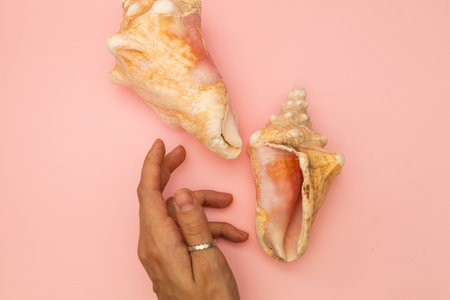 The girl is holding a large beautiful seashell