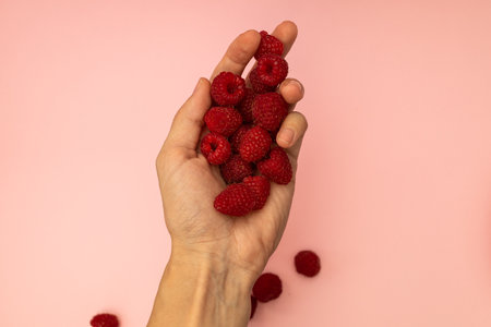 Raspberry on a pink backgroundの写真素材