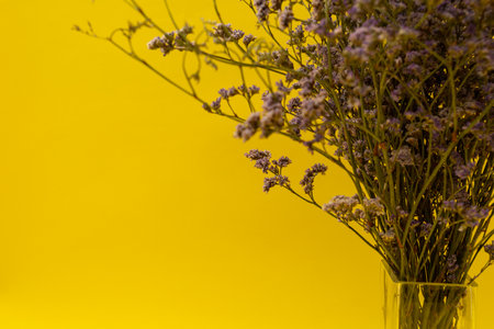 Bouquet of purple wildflowers