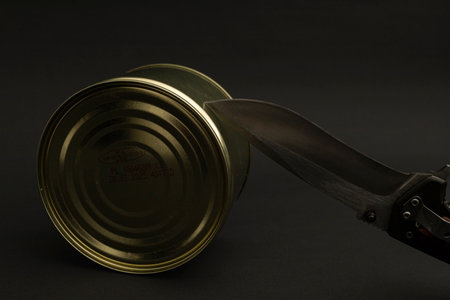 Canned food in a tin on a black background