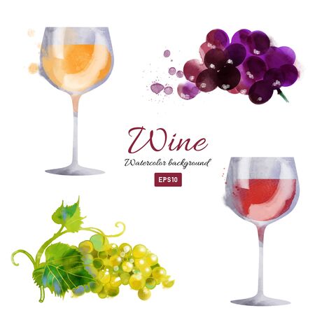 Set of vector watercolor illustration of wine and elementsのイラスト素材