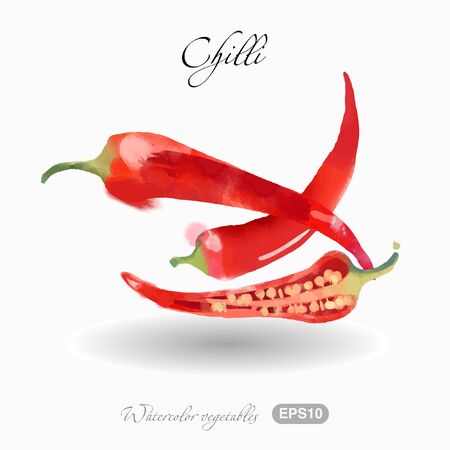 Watercolor vector illustration of chilli peppersのイラスト素材