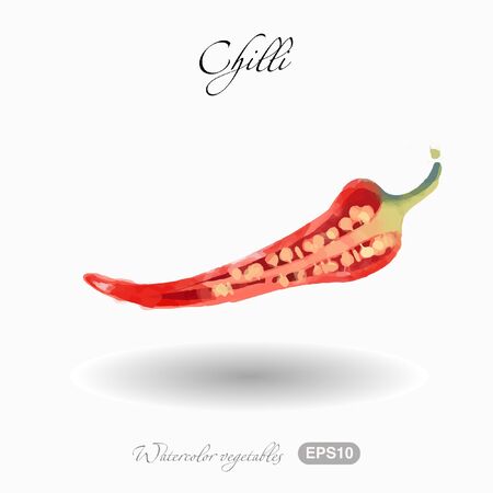 Watercolor vector illustration of chilli pepperのイラスト素材
